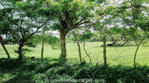 photos for SOSUA: LOT ANTONIO